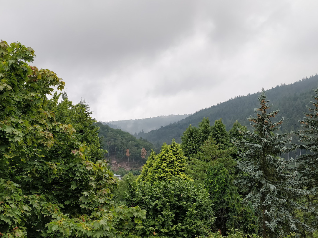 Hotel Zum Neckartal主图