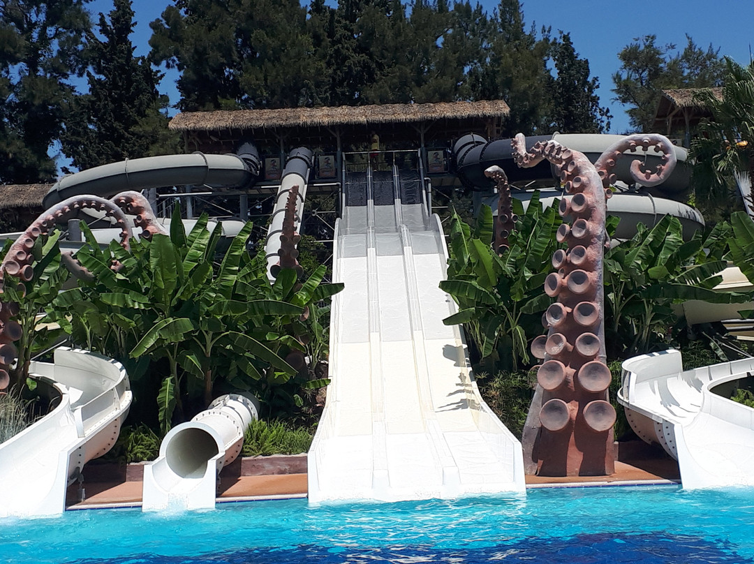 Tortuga Water Park景点图片