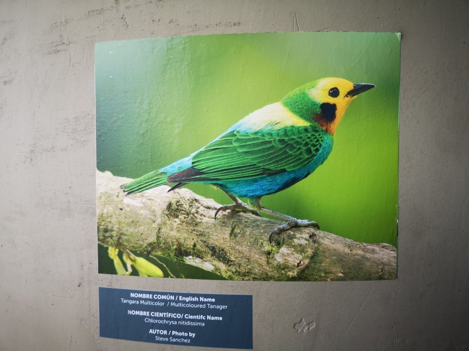 Ruta Turística MIO Cable-卡利必去景点