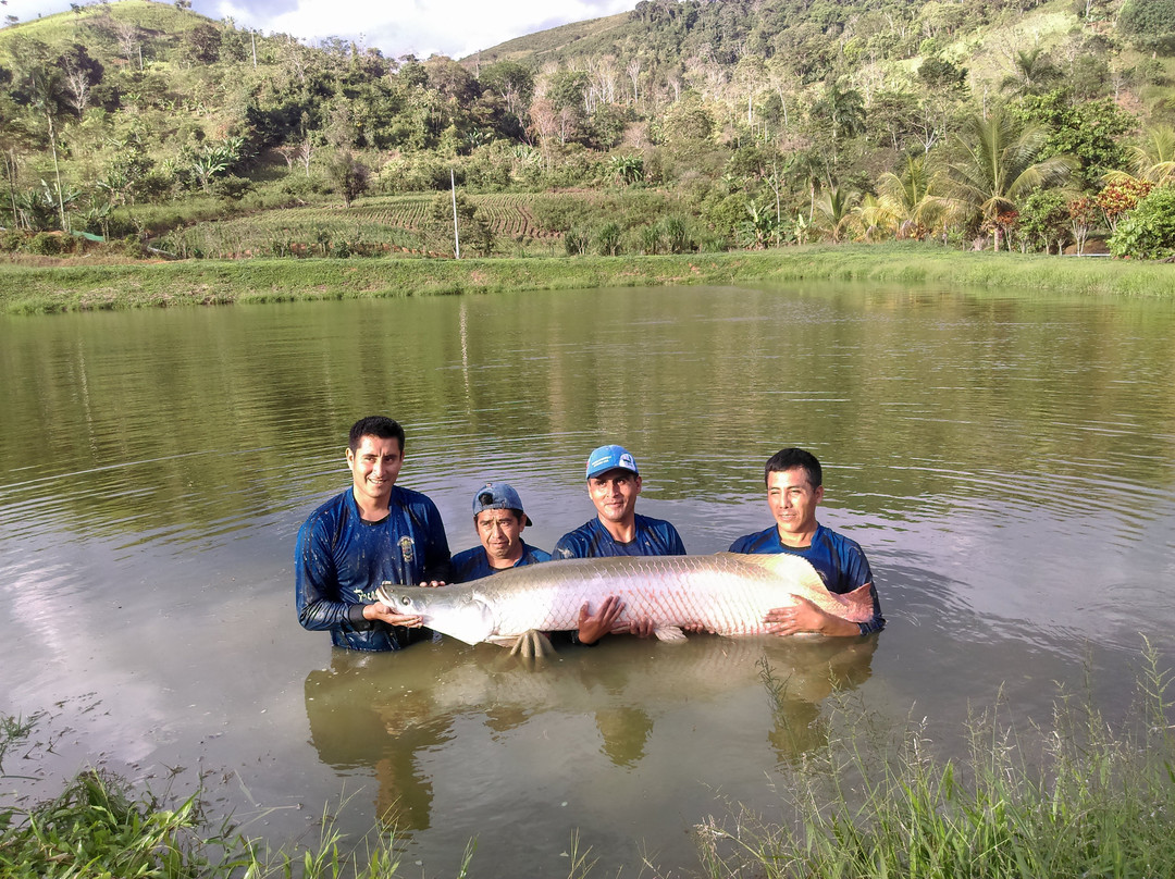 Piscigranja Municipal de Kimbiri-Kimbiri District必去景点