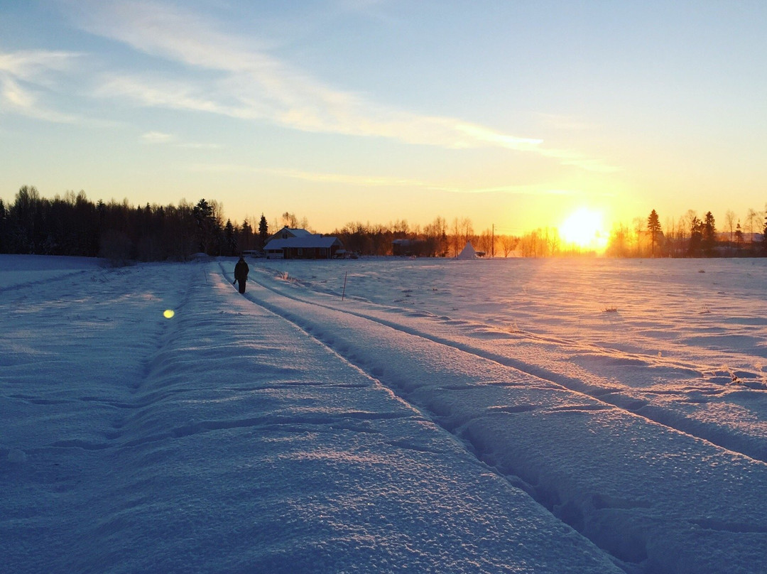 Arctic Emotions Oy-罗瓦涅米必去景点