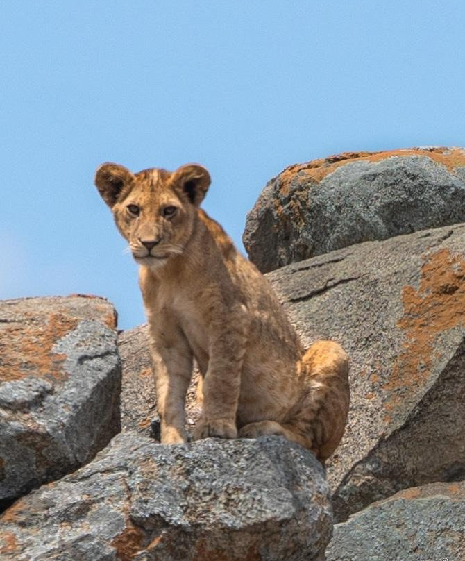 Mbogo Expeditions-阿鲁沙必去景点