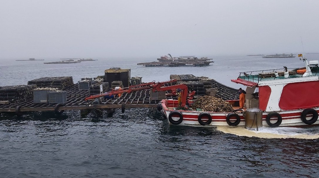 Cruceros Angel-格罗韦必去景点