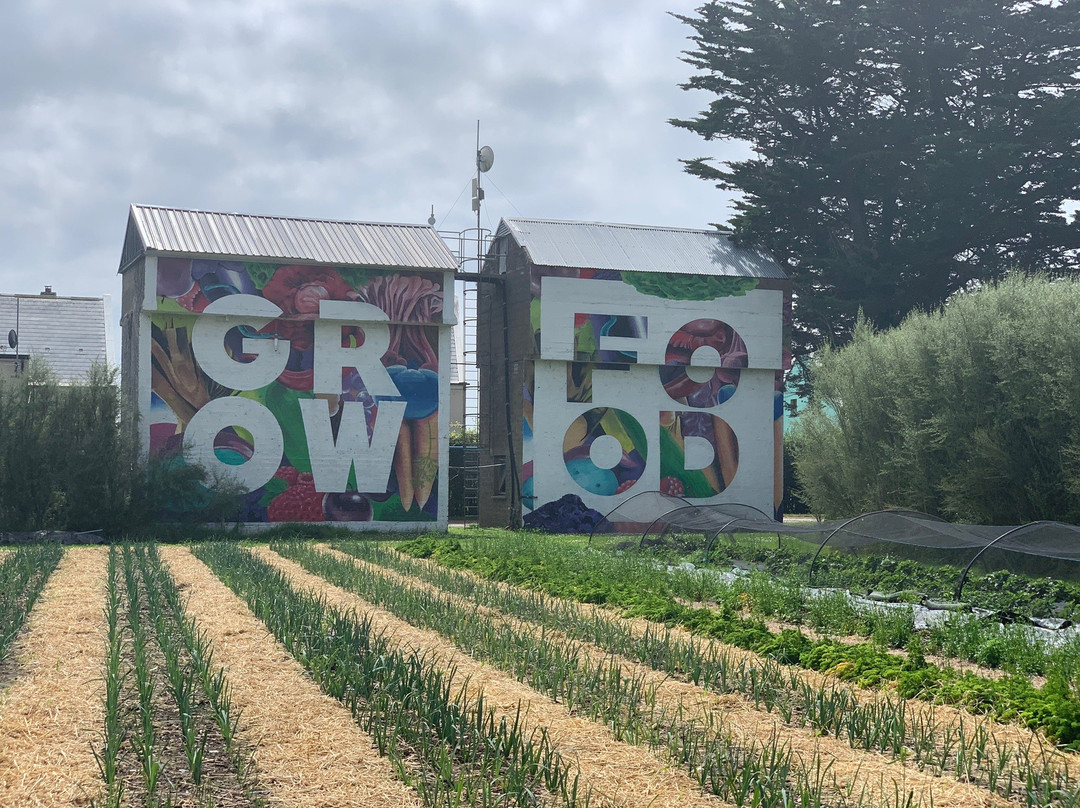 Ballymaloe Cookery School-Midleton必去景点
