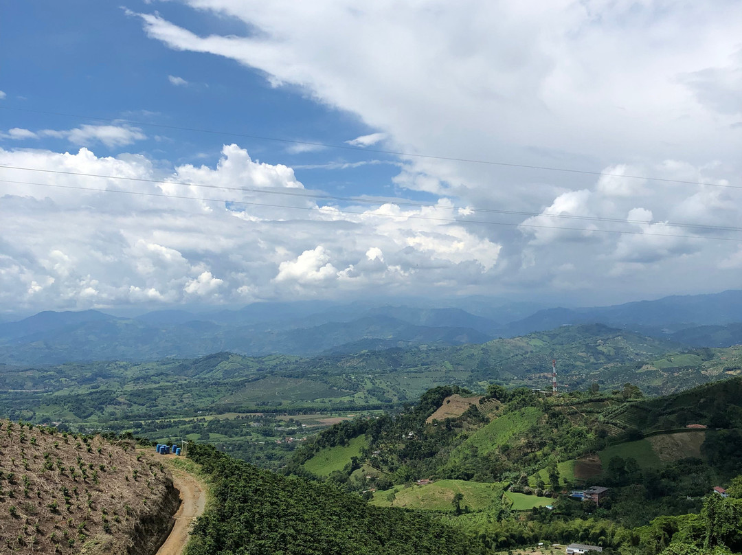 Hacienda La Mesa-Palestina必去景点