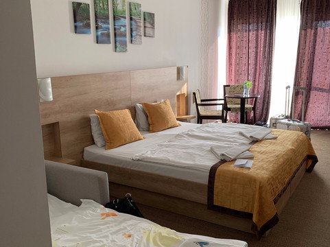 Zsalyaliget Hotel主图