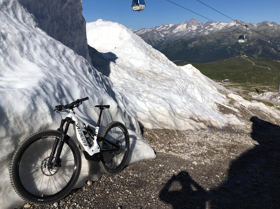 Andreis Specialized store & more-Male必去景点