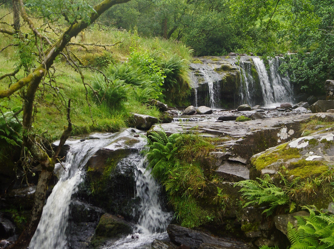 Lower Blaen y Glyn-Talybont-on-Usk必去景点