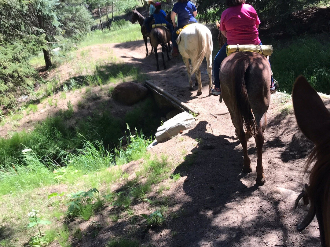 Jackson Stables-埃斯蒂斯公园必去景点