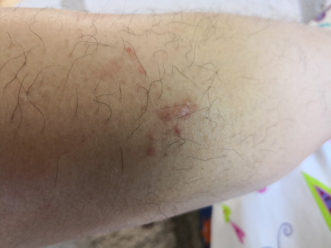 Fairfield Inn & Suites Atlanta Lithia Springs主图