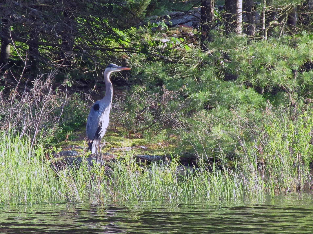 Massasauga Provincial Park-帕里桑德必去景点
