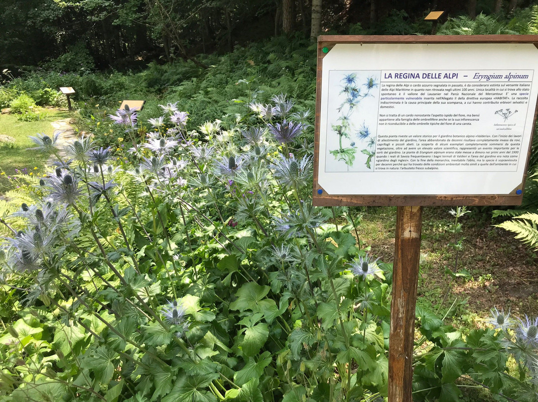 Giardino Botanico Valderia-Valdieri必去景点