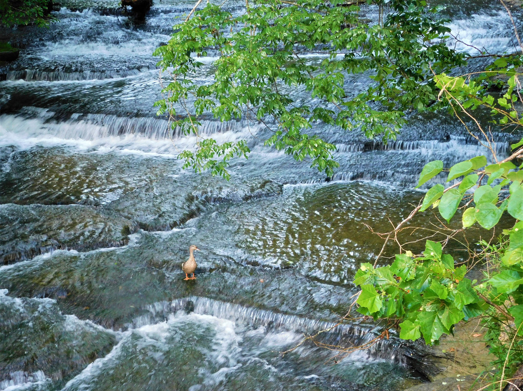 Seventy Six Falls-Albany必去景点