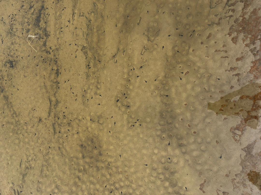 Manitou Falls-Manitouwadge必去景点