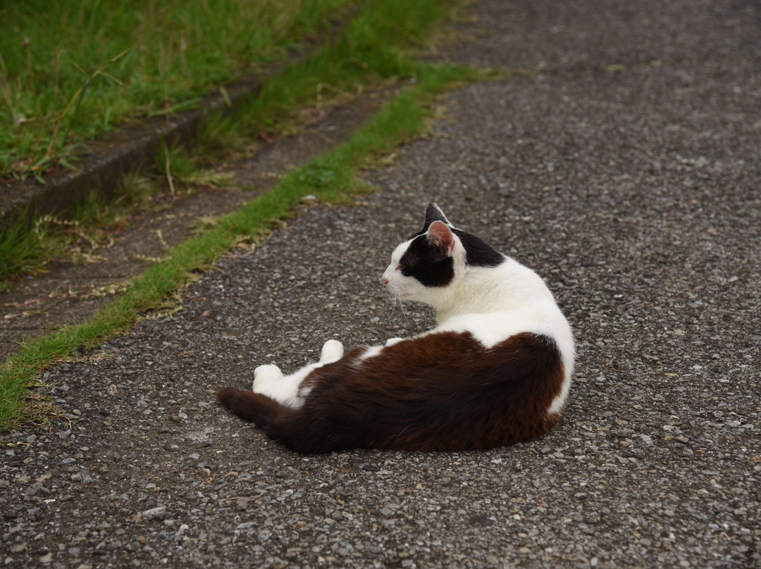 Arakawa Shizen Park-荒川区必去景点