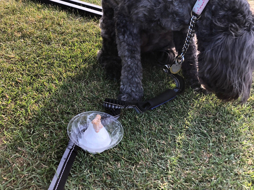 2023年12月Gonor Station旅游景点攻略Gonor Station旅游住宿,Gonor Station旅游美食猫途鹰