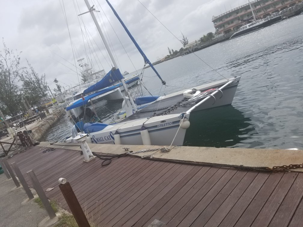 Small Cats Catamaran Sailing Cruises-布里奇顿必去景点