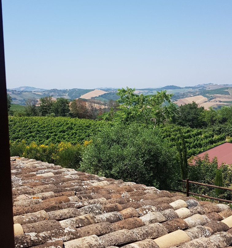 圣米歇尔农家乐主图