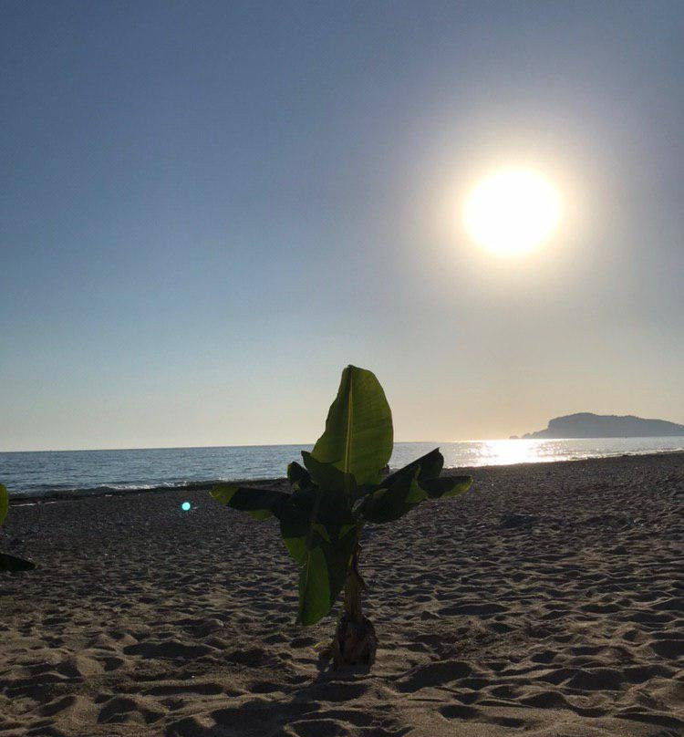 Sey Beach Hotel & Spa主图