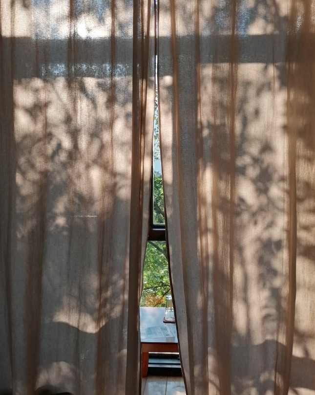 Guesthouse Zvono主图