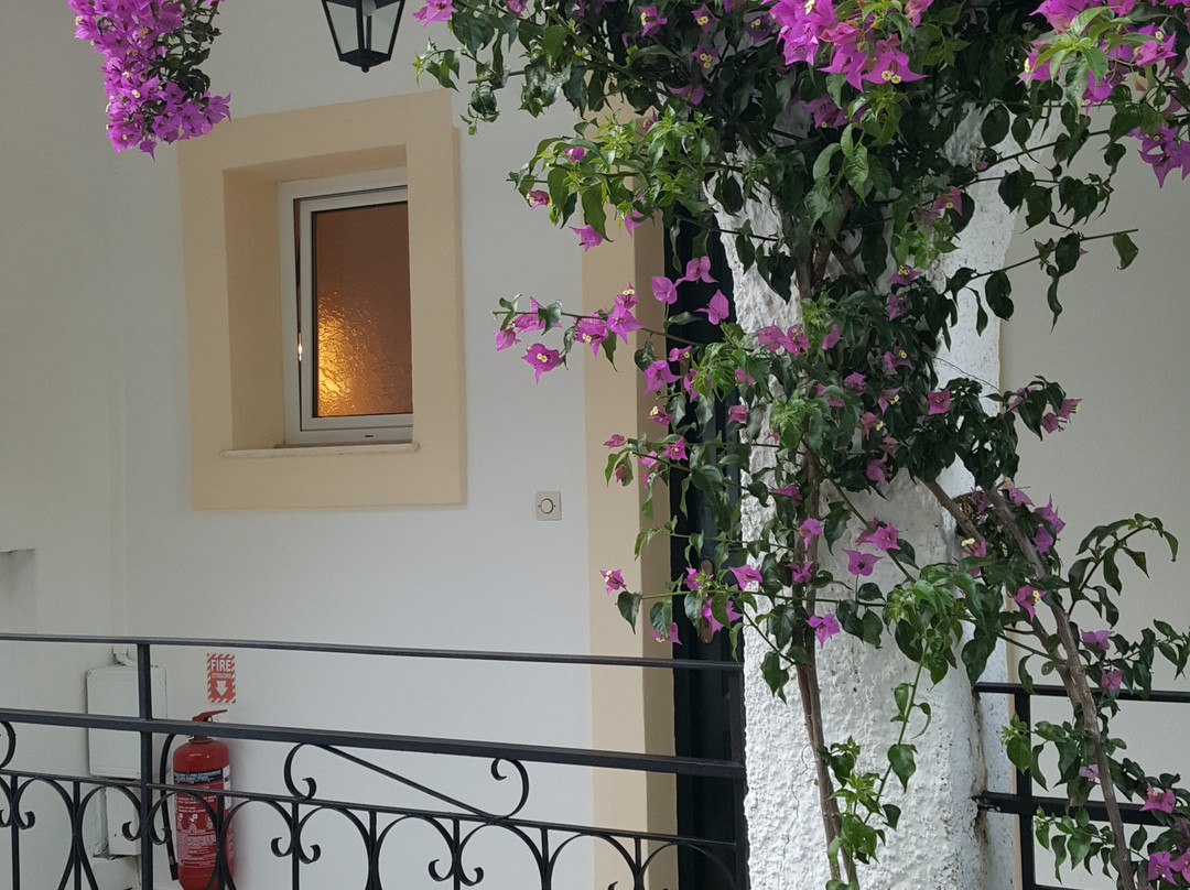 雅尼丝宾馆主图