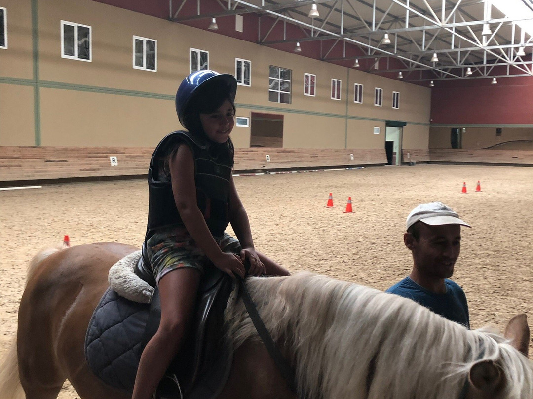 Padok Premium Hotel Stables主图