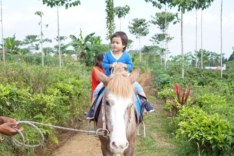 Agro Tourism Lembah Asri Serang-Serang必去景点