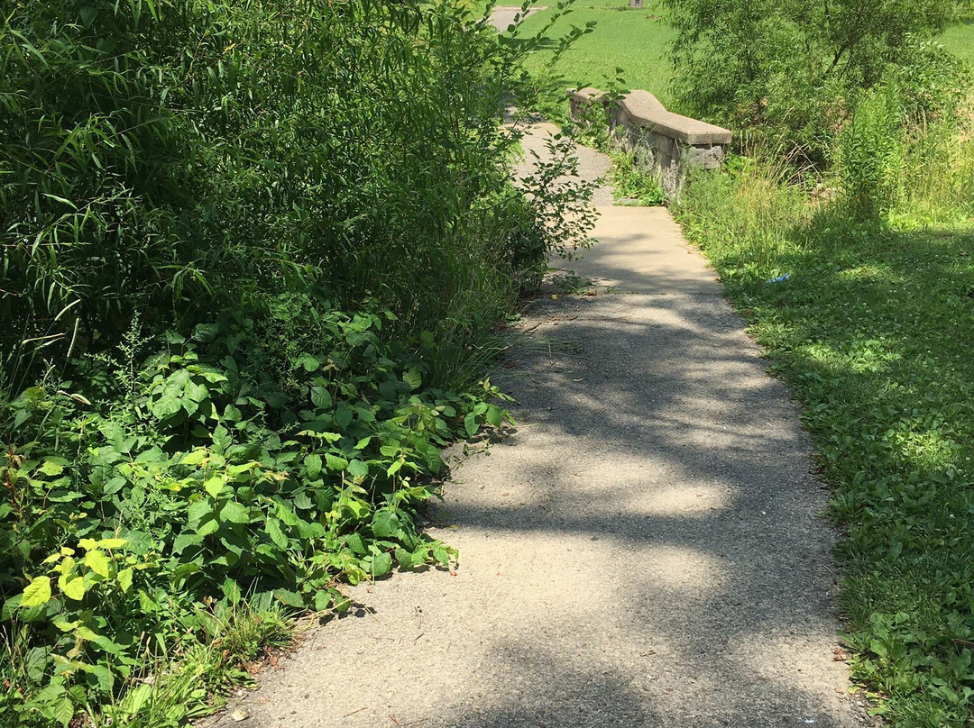 Garvin Park-埃文斯维尔必去景点