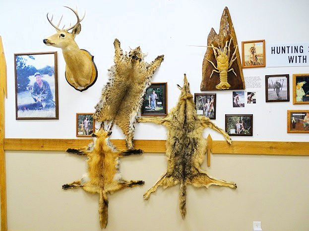 The Spear Hunting Museum-Summerdale必去景点