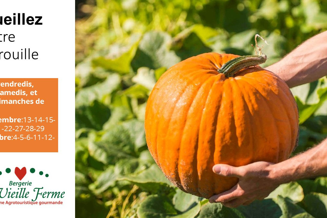 La Vieille Ferme-Saint-Fulgence必去景点