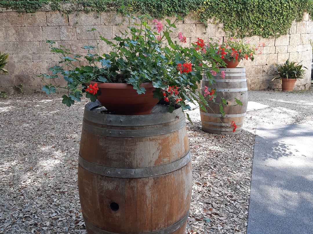 Il Cellese winery Boutique-波吉邦西必去景点