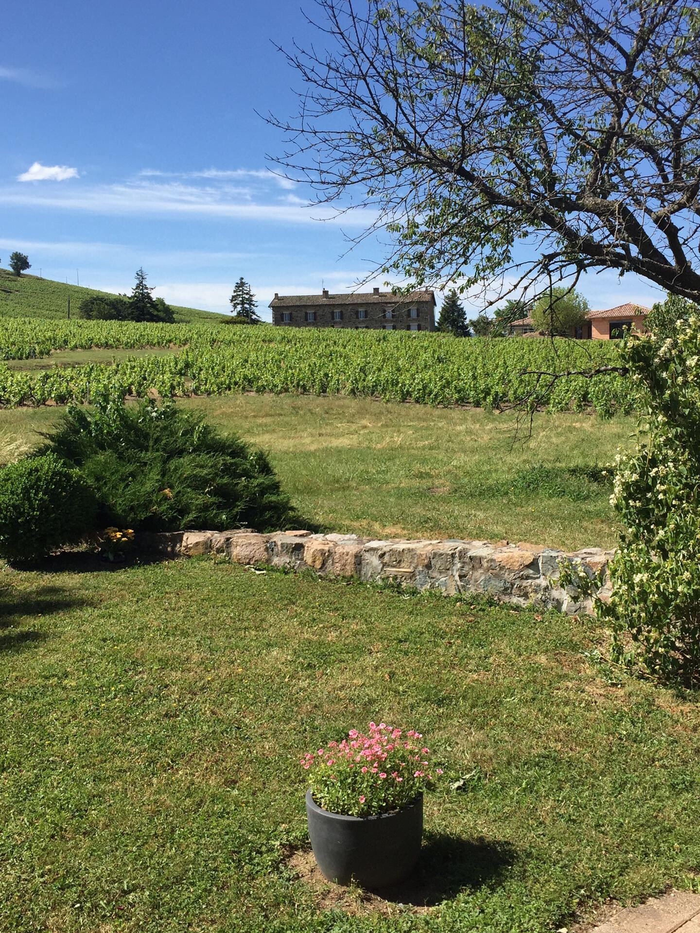 Chambres d'Hotes des Brouilly-官方