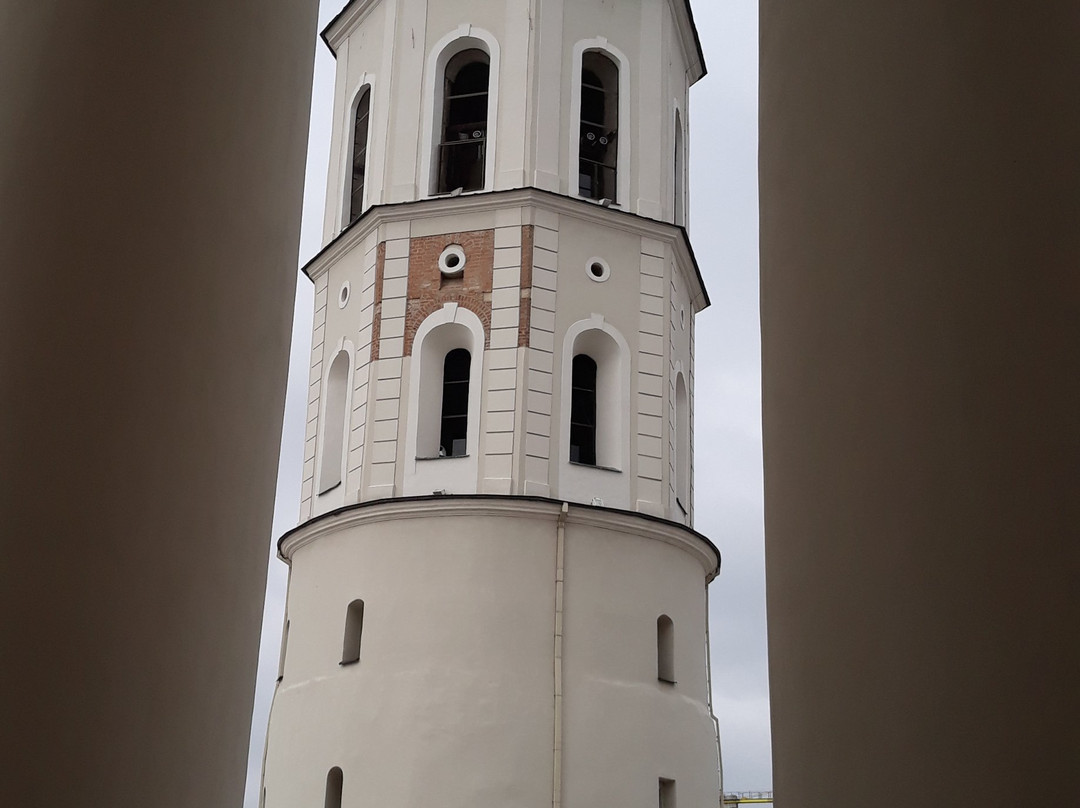 Vilnius Cathedral-维尔纽斯必去景点