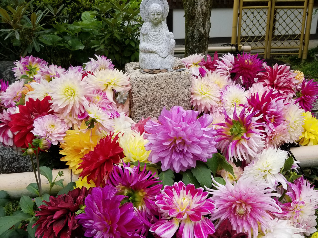 Oka-dera Temple景点图片