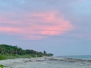 Pearl Beach Inn主图