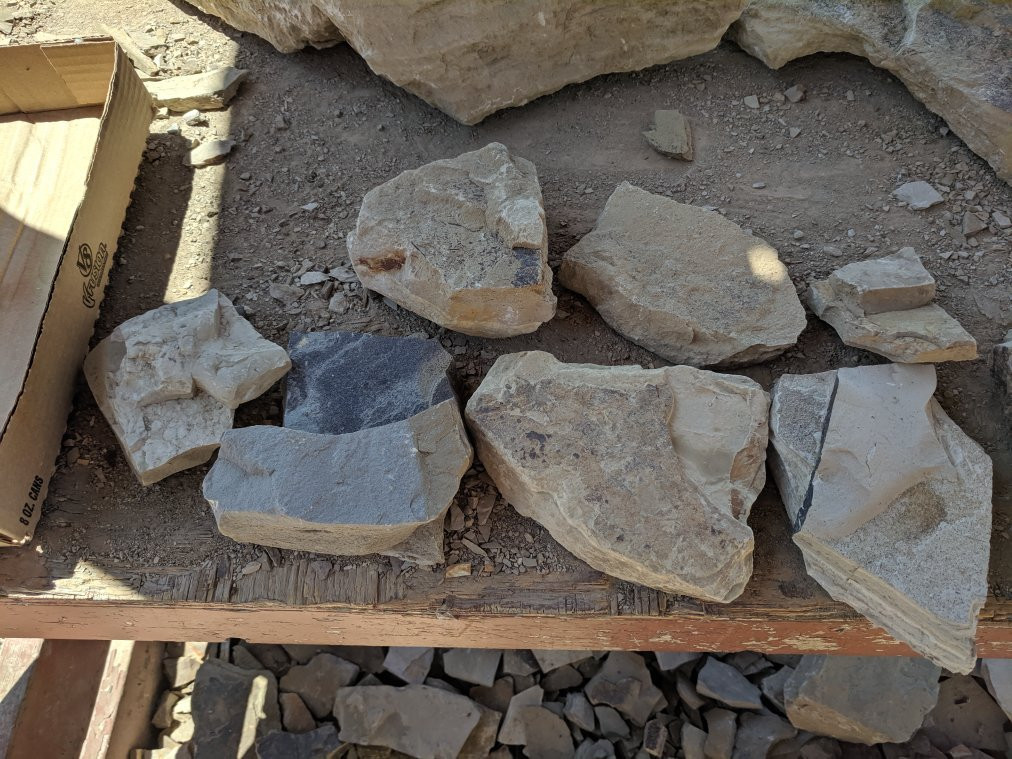 Stonerose Interpretive Center and Eocene Fossil Site景点图片