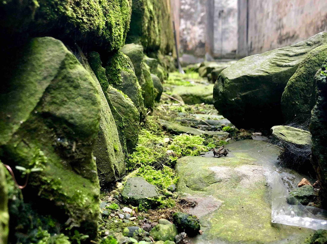 卢村-黟县必去景点