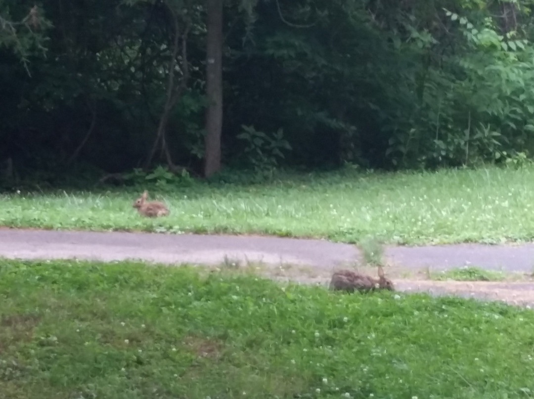 Ivy Creek Natural Area-夏洛茨维尔必去景点