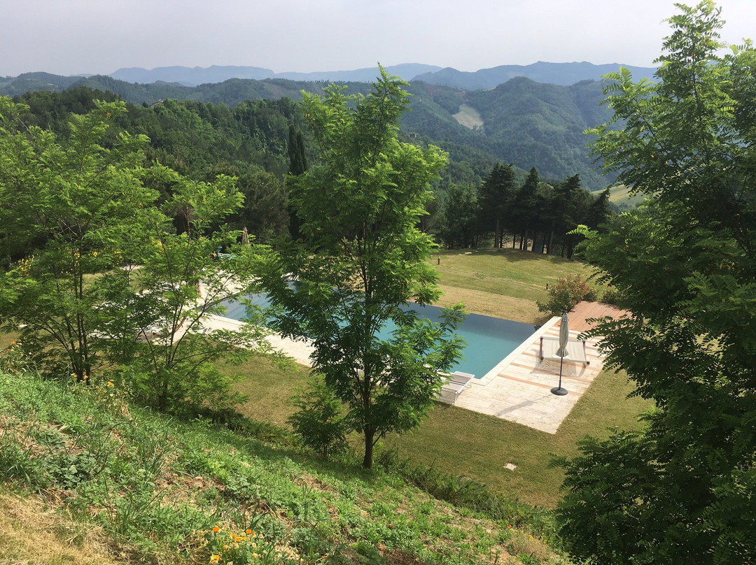 Il Pavone Errante主图