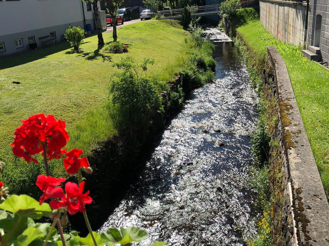 Pension Waldwinkel主图