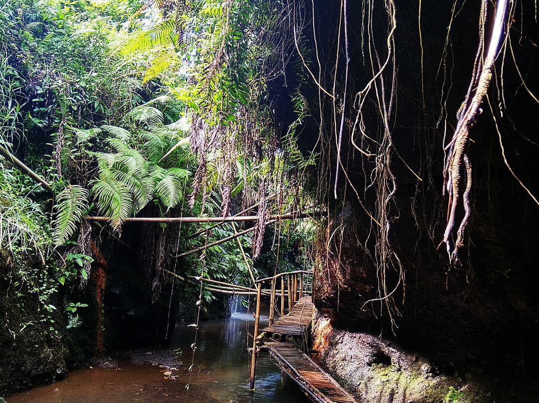Jungle Boy-Tetebatu必去景点