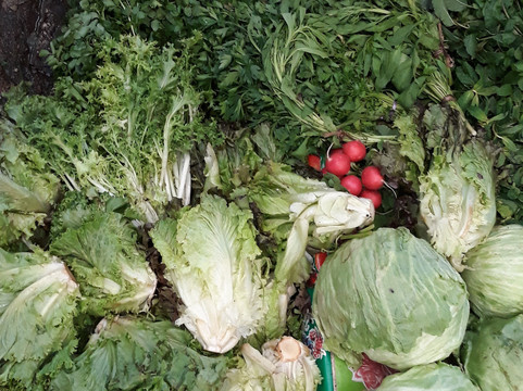 Mercado Viejo-圣克里斯托瓦尔-德拉斯卡萨斯必去景点