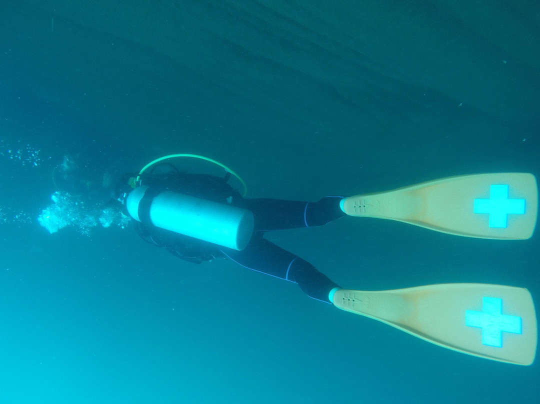 Chetumal Dive Club-切图马尔必去景点