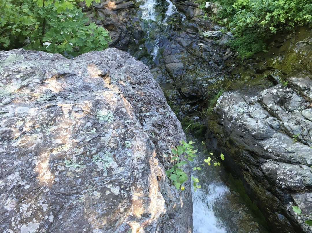 South River Falls Trail景点图片