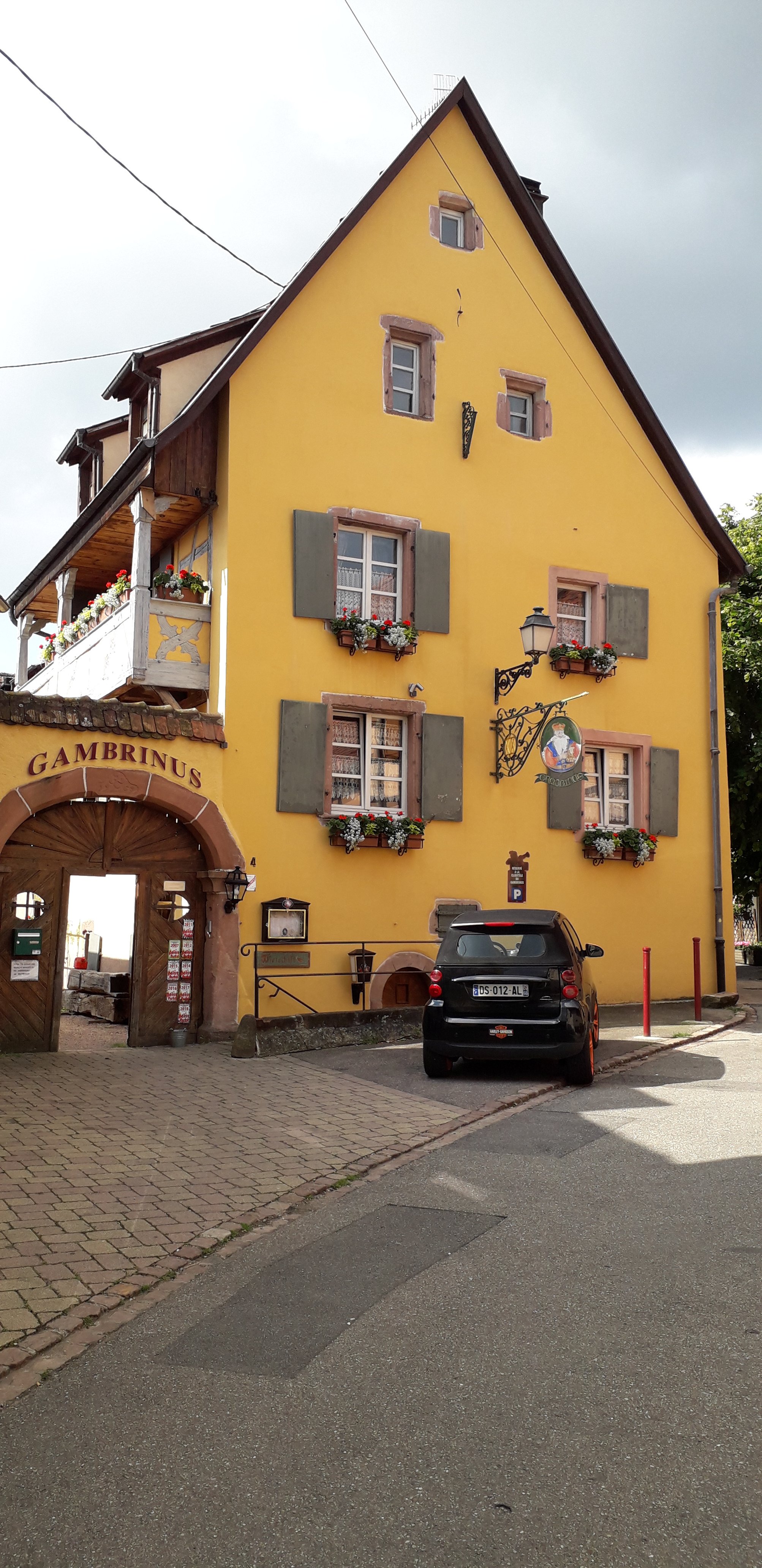Maison Gambrinus-portrait