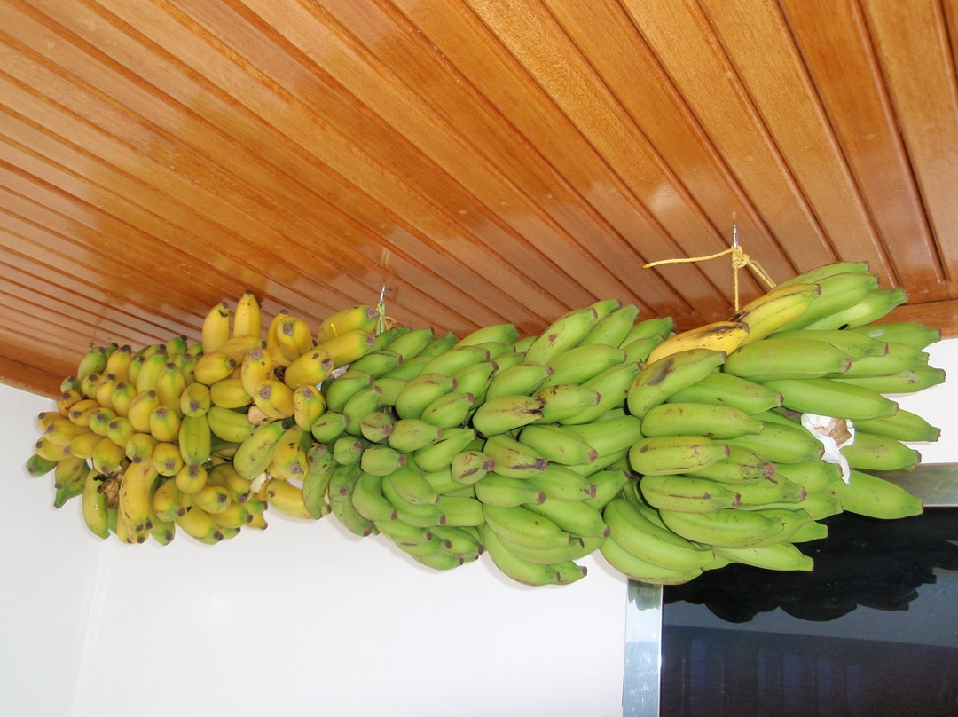 Perfect Voyage-马累必去景点