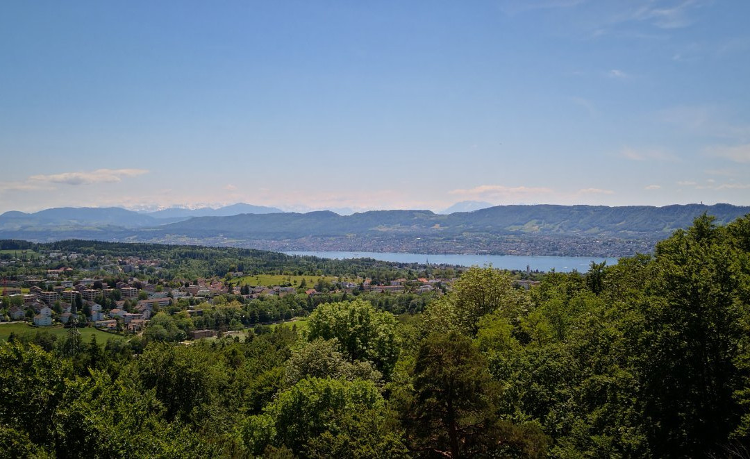 Loorenkopf Aussichtsturm景点图片