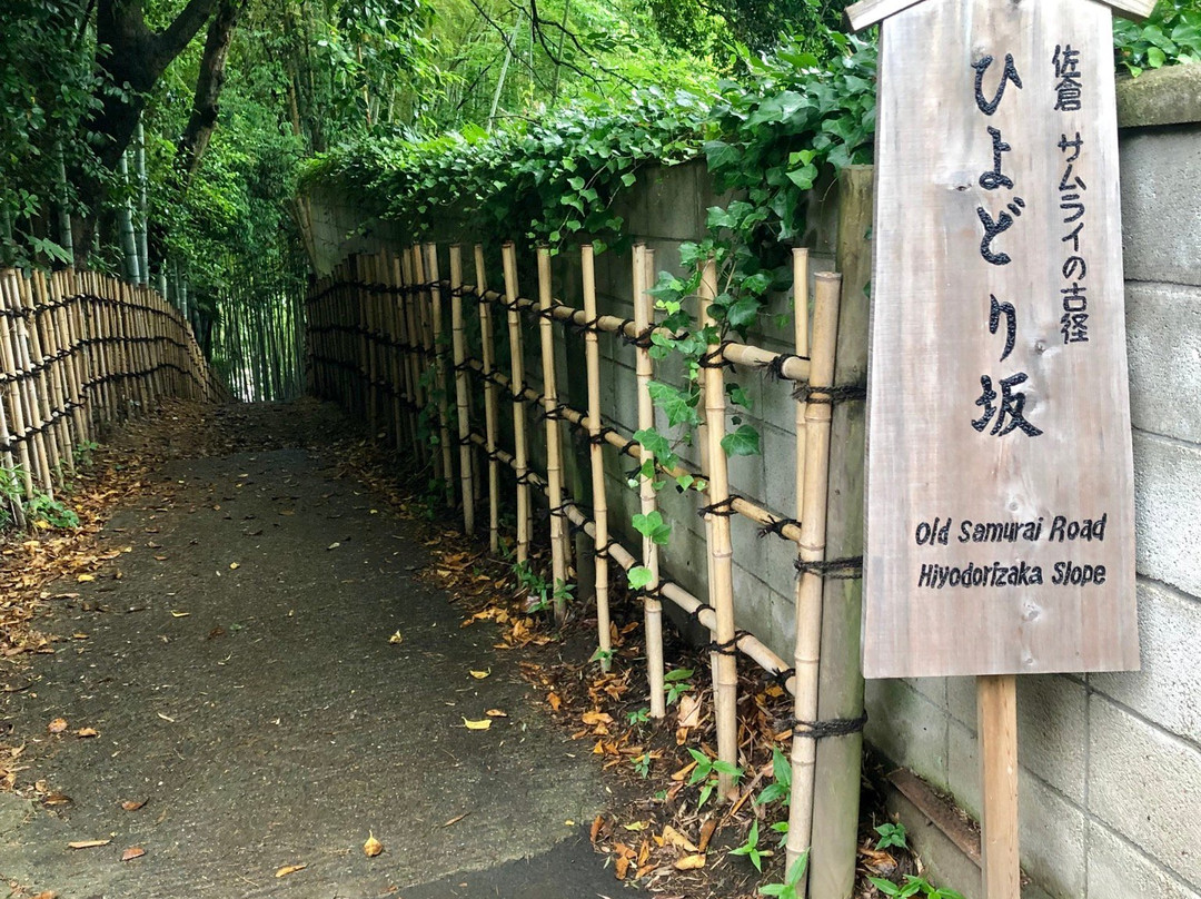 Hiyodori Hill-佐仓市必去景点