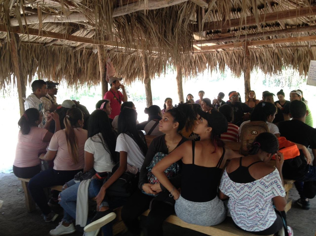 Asocalim-Luruaco必去景点