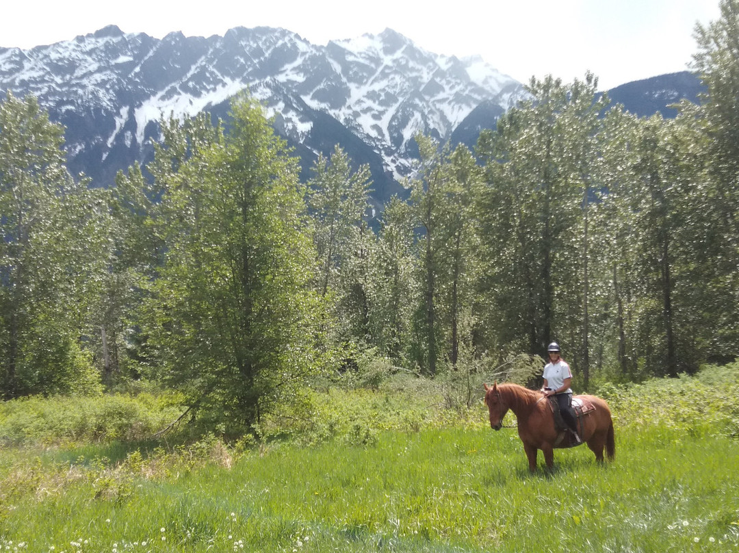 Adventure on Horseback-Pemberton必去景点